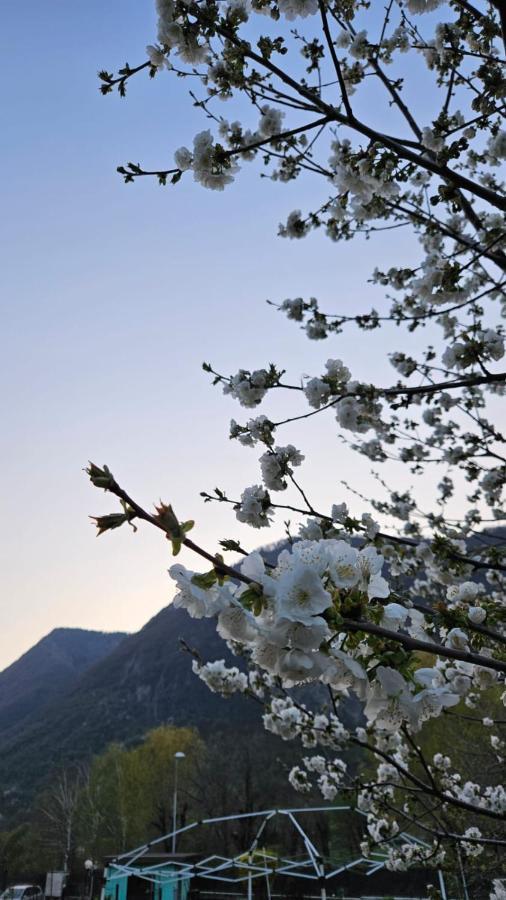 Appartamento L'Airone Cenerino Canzo Buitenkant foto
